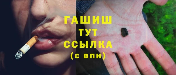 индика Бородино
