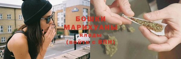 прущие грибы Волосово