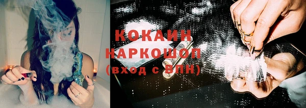 apvp Горняк