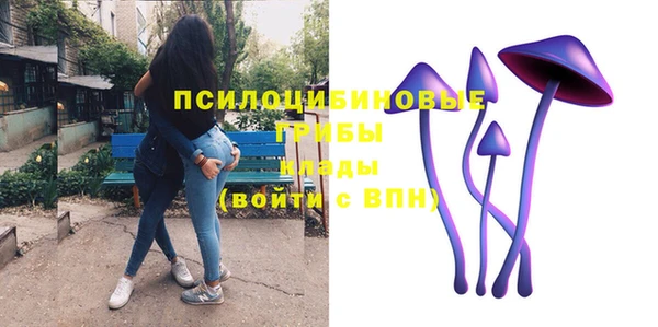 не бодяженный Сясьстрой