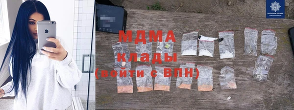 прущие грибы Гусиноозёрск