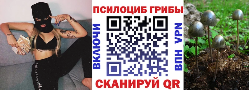 купить наркотик  Дорогобуж  Галлюциногенные грибы GOLDEN TEACHER 