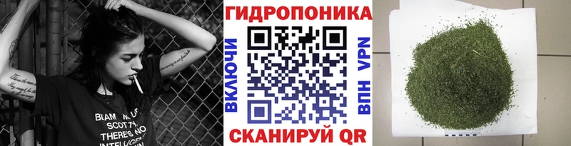 Шишки марихуана планчик  хочу наркоту  Дорогобуж 